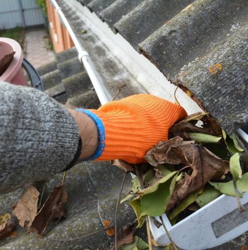 gutter cleaning