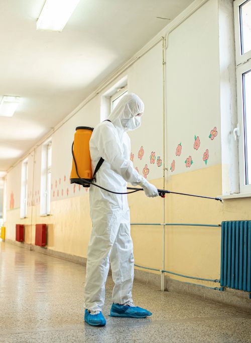school cleaning companies