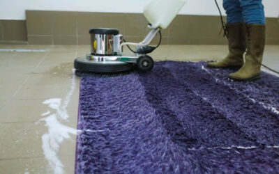 How to Clean Carpet at Home: Expert Tips for Homeowners